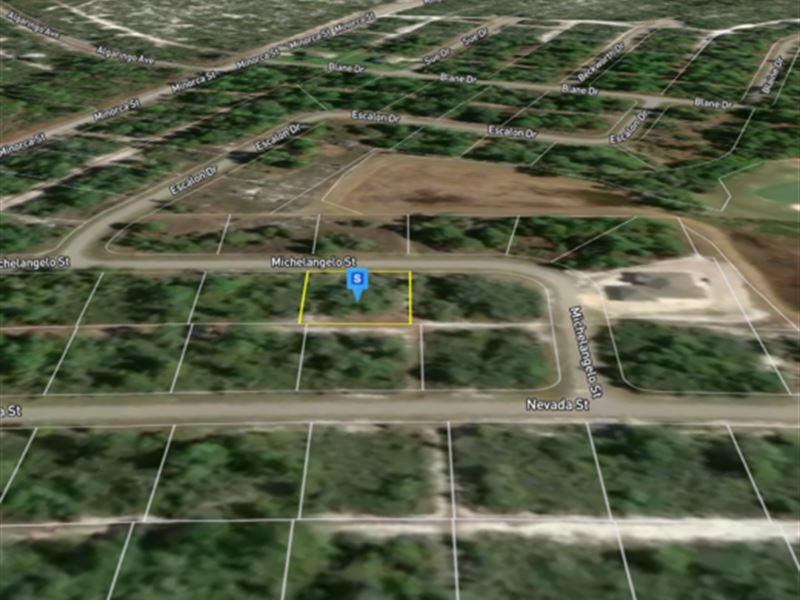 Sebring, Florida 0.87 Acre Lot : Sebring : Highlands County : Florida