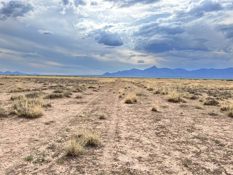 $55 Per Month 1/2 Acre : Luna : Luna County : New Mexico