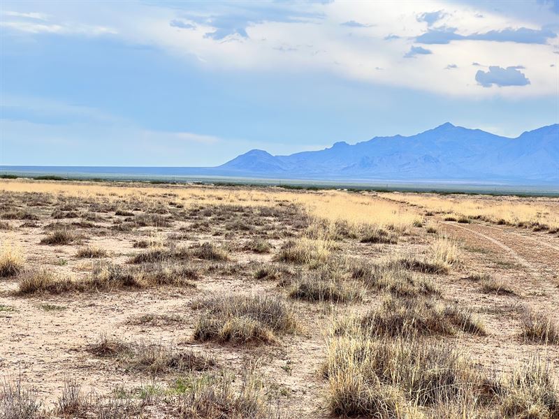 $55 a Month Full Acre of Seclusion : Luna : Luna County : New Mexico