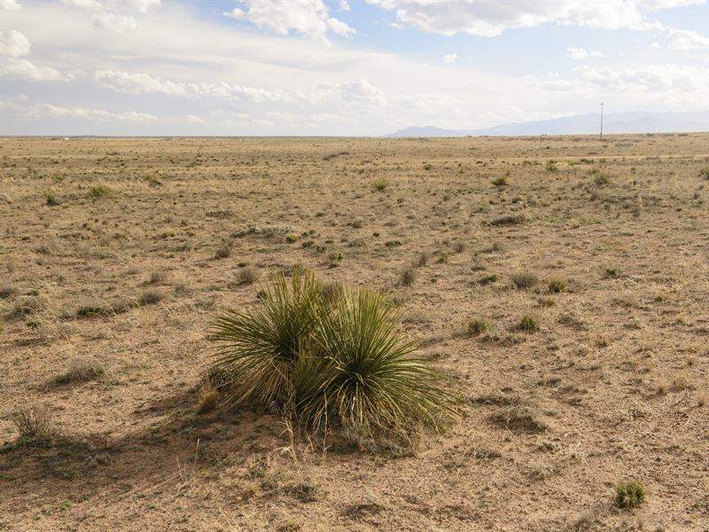 Seize The Opportunity : Belen : Valencia County : New Mexico