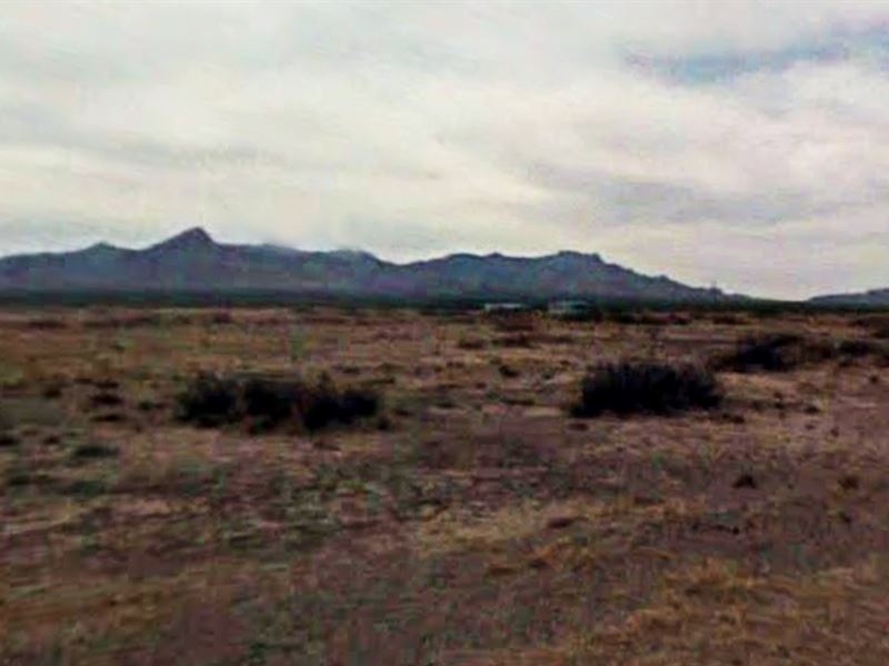 Ideal for a Single-Family Home : Deming : Luna County : New Mexico