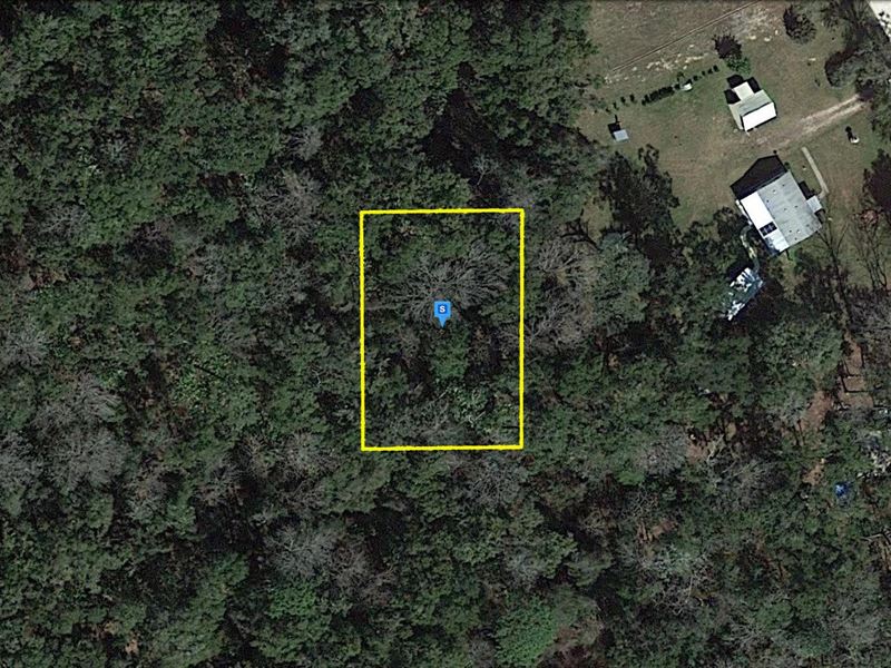 Vacant Lot in The Heart of Trenton : Trenton : Gilchrist County : Florida