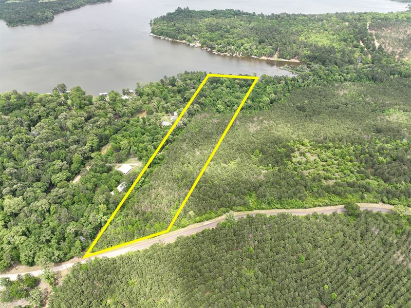 17 Acres, T-1 CR 2145 : Wheeler Springs : Houston County : Texas