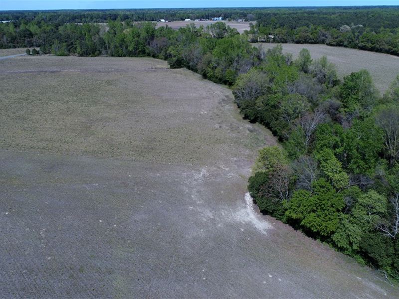 Nice Lot in The Country : Rowland : Robeson County : North Carolina