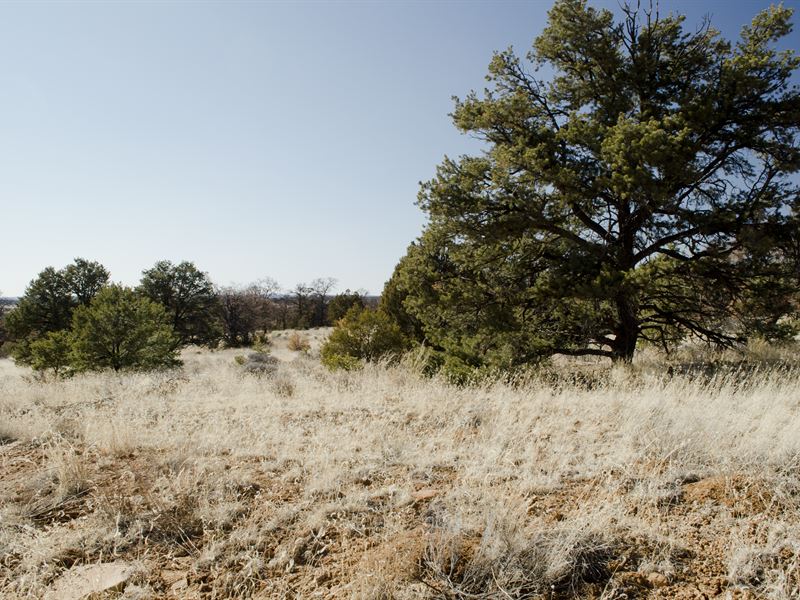 2.5 Acres in NM with Seasonal Creek : Ramah : Cibola County : New Mexico