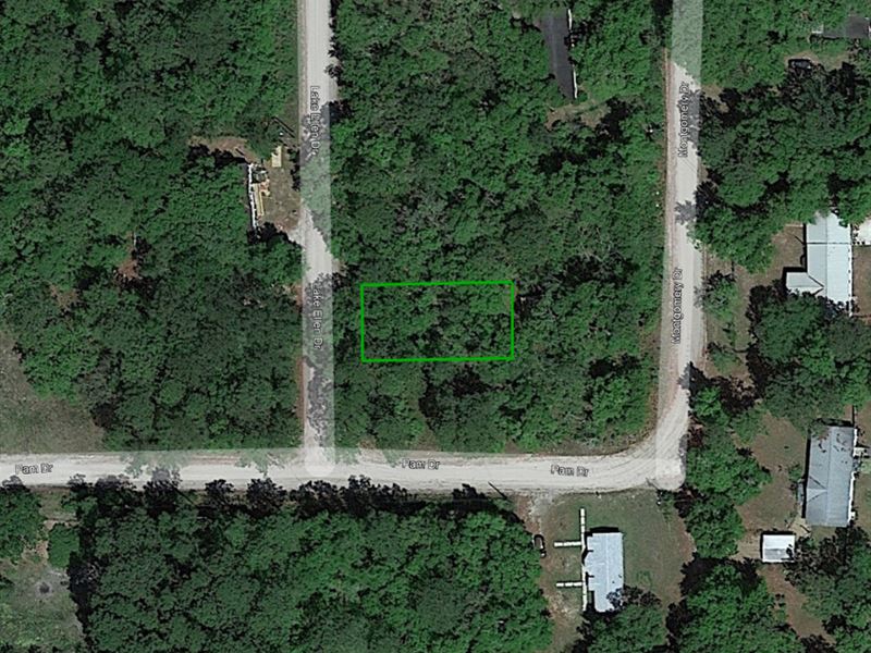 Residential Lot Close To Oyster Bay : Crawfordville : Wakulla County : Florida