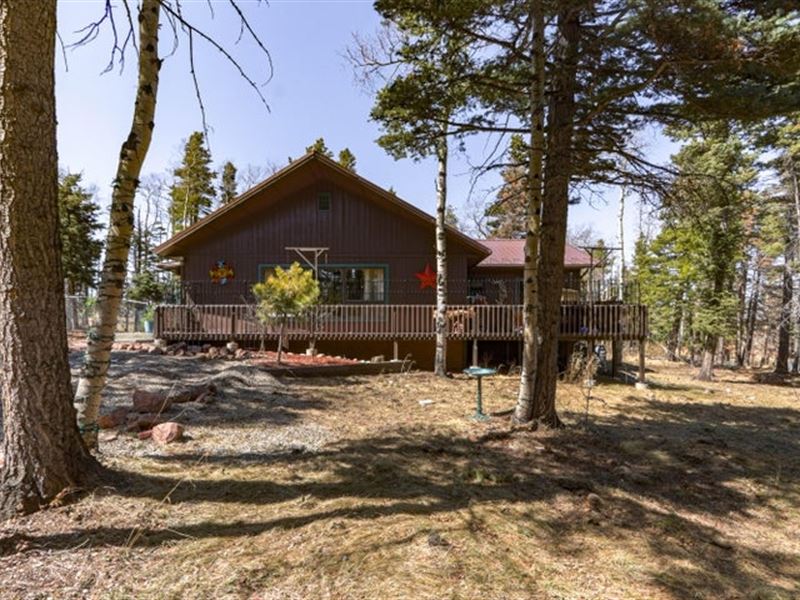 1865 Sturm Lane, Ft Garland, Co 81 : Fort Garland : Costilla County : Colorado