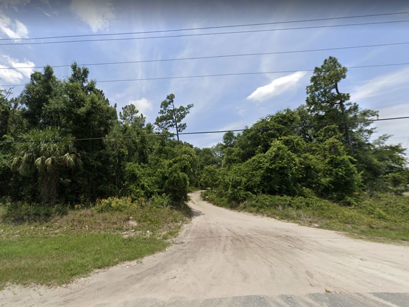 .18 Acre in Silver Springs, FL : Silver Springs : Marion County : Florida