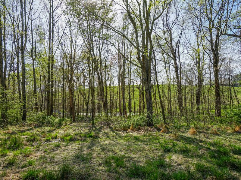 Batesville Rd 5 Acres : Quaker City : Guernsey County : Ohio