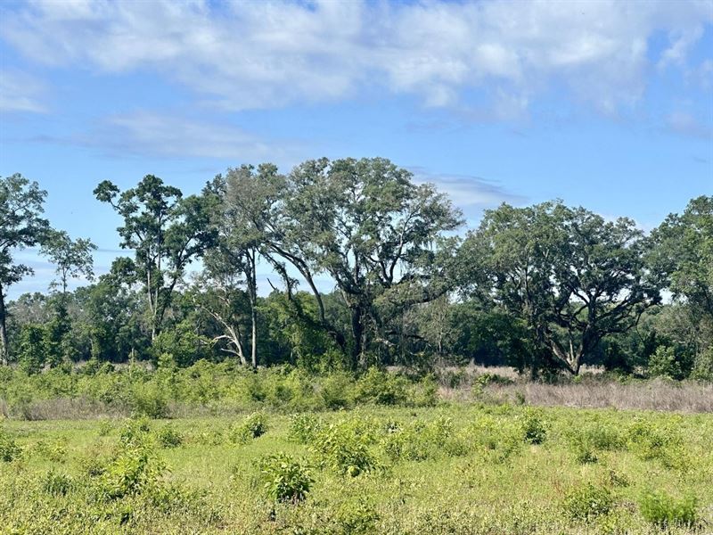 Green Gables Awaits : Pinetta : Madison County : Florida