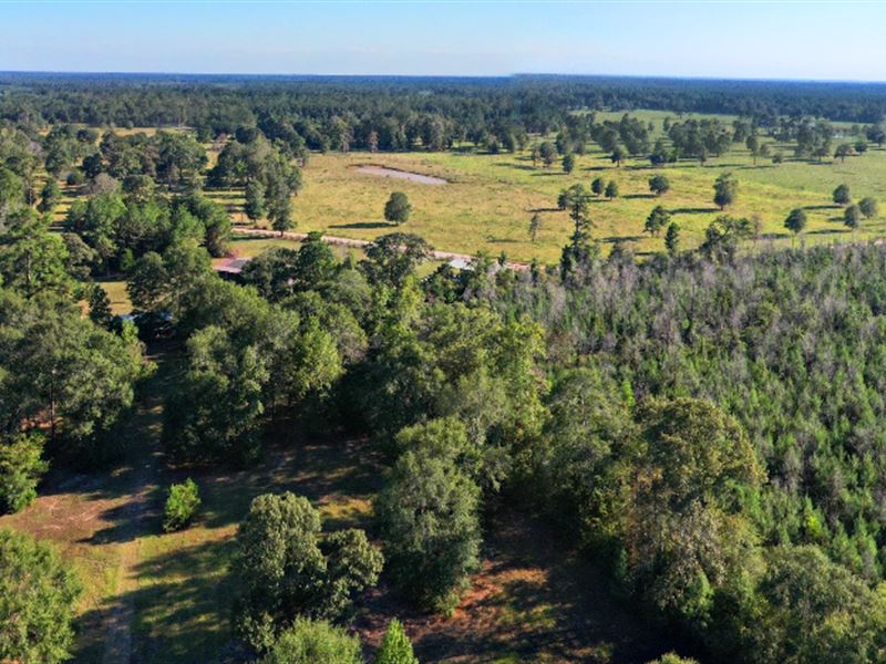 1.41 Acres in Livingston, TX : Livingston : Polk County : Texas