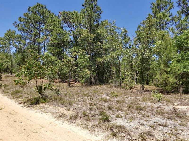 So Beautiful, Your Private Getaway : Hawthorne : Putnam County : Florida