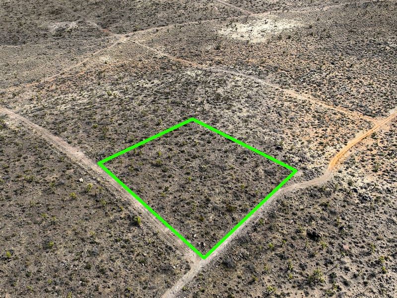 Homestead Acreage in Dolan Springs : Dolan Springs : Mohave County : Arizona