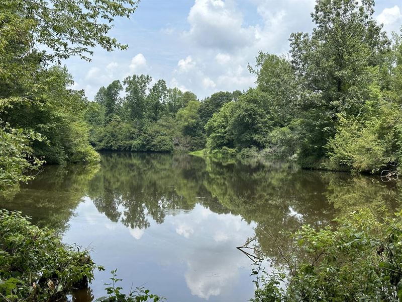 Welcome to Bear Creek : Haleyville : Winston County : Alabama