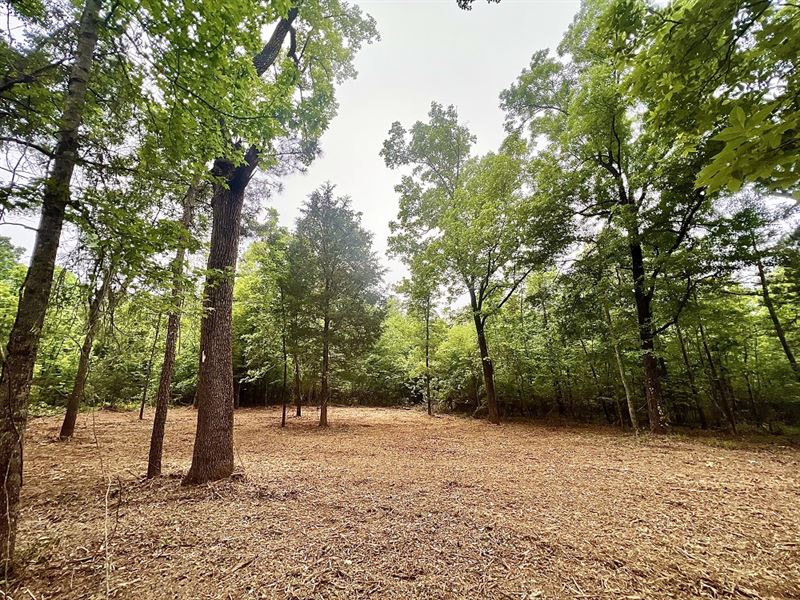 Large Homesite : Oglethorpe : Macon County : Georgia