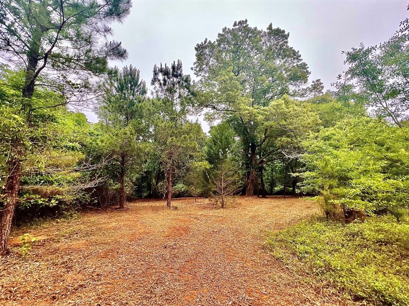 Perfect Rural Homesite : Oglethorpe : Macon County : Georgia