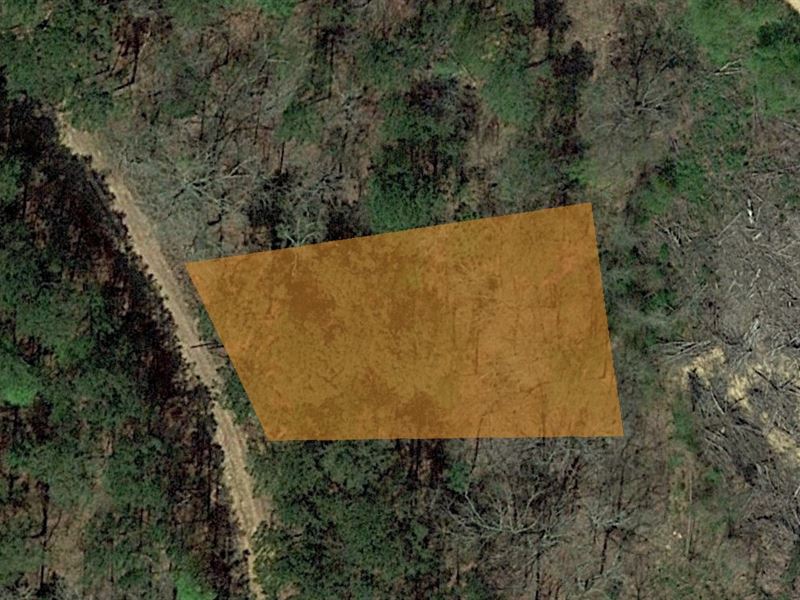 Property Close to River, Boating : Alpine : Talladega County : Alabama