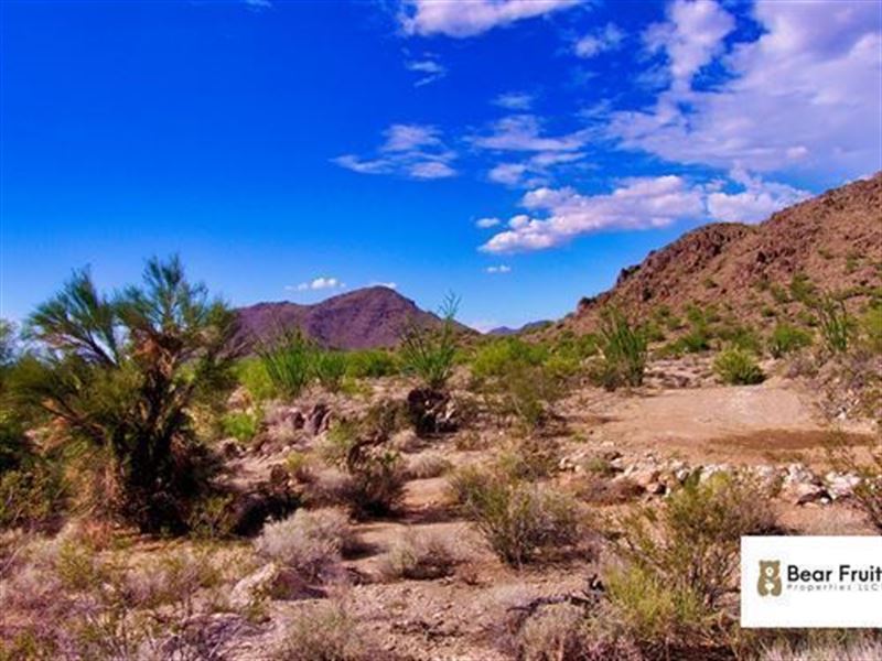 Endless Adventure in Yucca, $150 : Yucca : Mohave County : Arizona