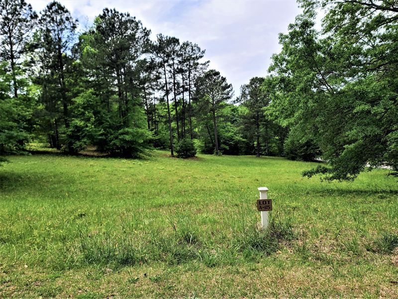 Ashton Park Acreage : Greenwood : Greenwood County : South Carolina