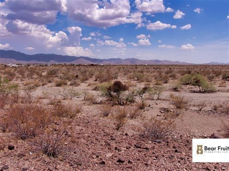 Affordable Camping Land, $75/Mo : Dolan Springs : Mohave County : Arizona