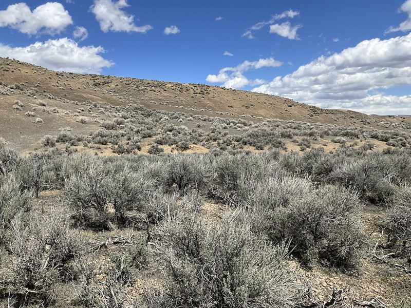 Homesite with Power : Elko : Elko County : Nevada