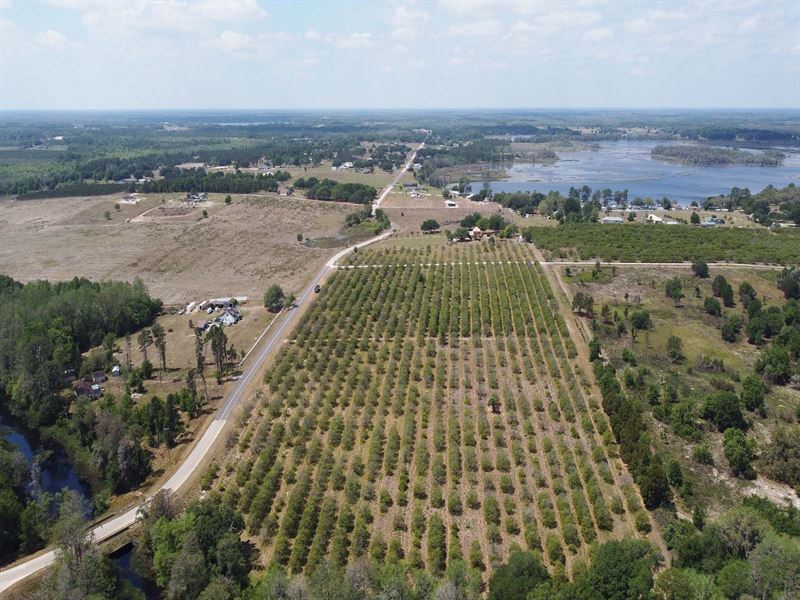 Clermont Residential Lots : Clermont : Lake County : Florida