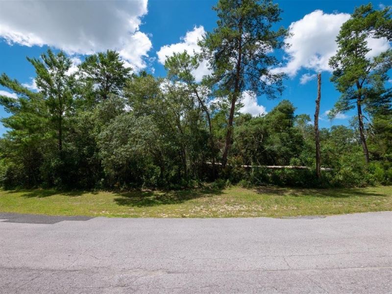 Don't Miss Out, The Perfect FL Lot : Ocala : Marion County : Florida