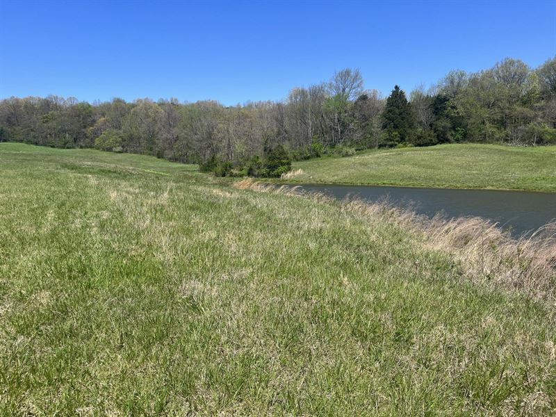 Green Acres Tract 1 : Fredericktown : Madison County : Missouri