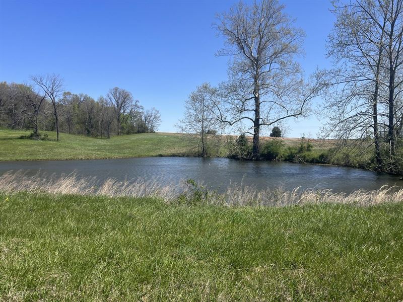 Green Acres Tract 2 : Fredericktown : Madison County : Missouri