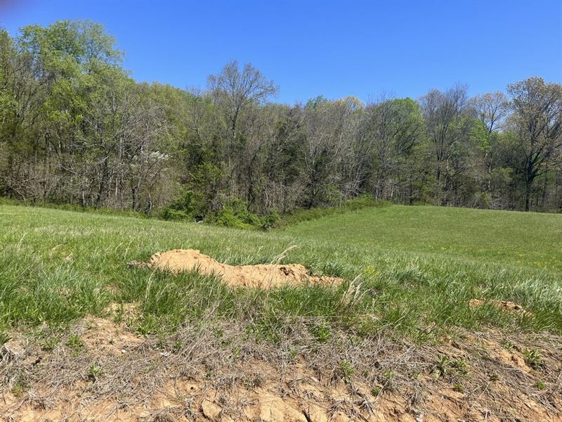 Green Acres 6 : Fredericktown : Madison County : Missouri