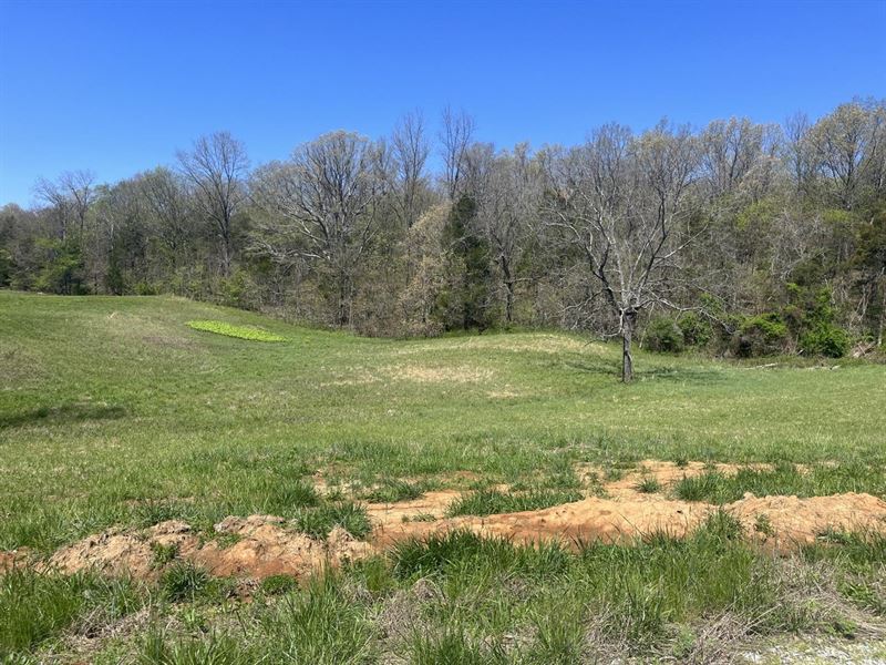 Green Acres Tract 7 : Fredericktown : Madison County : Missouri