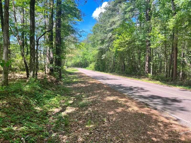 4 Acres in Amite County, MS : Liberty : Amite County : Mississippi