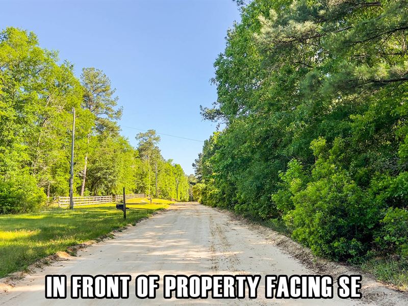 Owner Finance, 5 Acres in FL : Greenville : Jefferson County : Florida