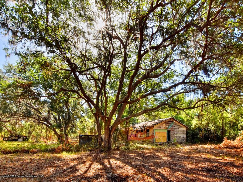 Lithia Woods Acreage Homesites, 2 : Lithia : Hillsborough County : Florida
