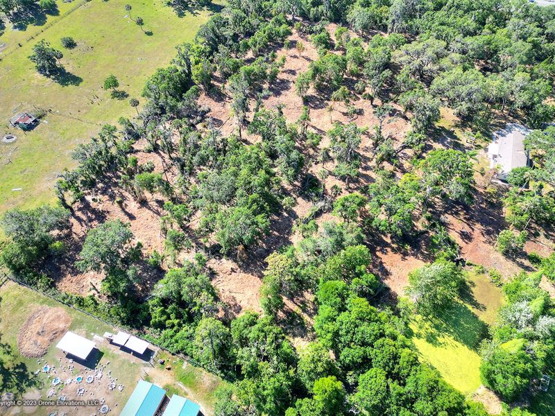 Lithia Woods Acreage Homesites, 3 : Lithia : Hillsborough County : Florida