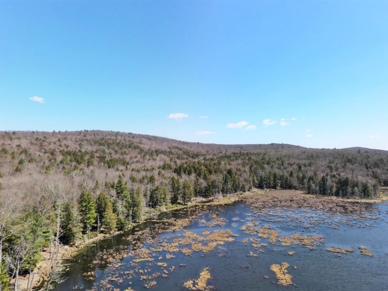 96K Sqft in Mamakating, NY : Mamakating : Sullivan County : New York