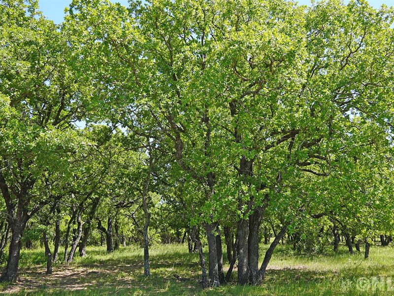 Land Bargains Close to Weatherford : Perrin : Jack County : Texas