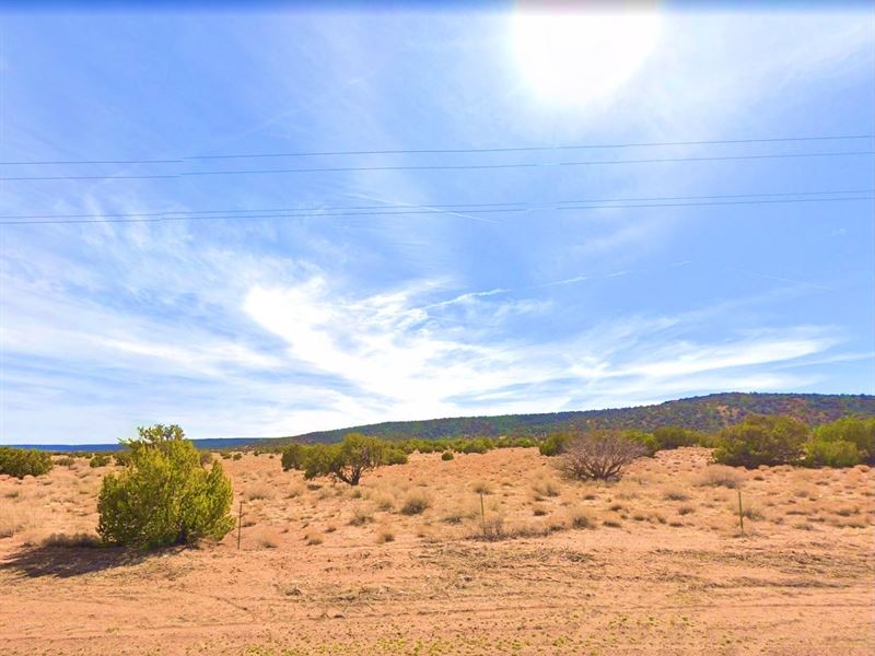.28 Acre in Show Low, $200/Month : Show Low : Apache County : Arizona