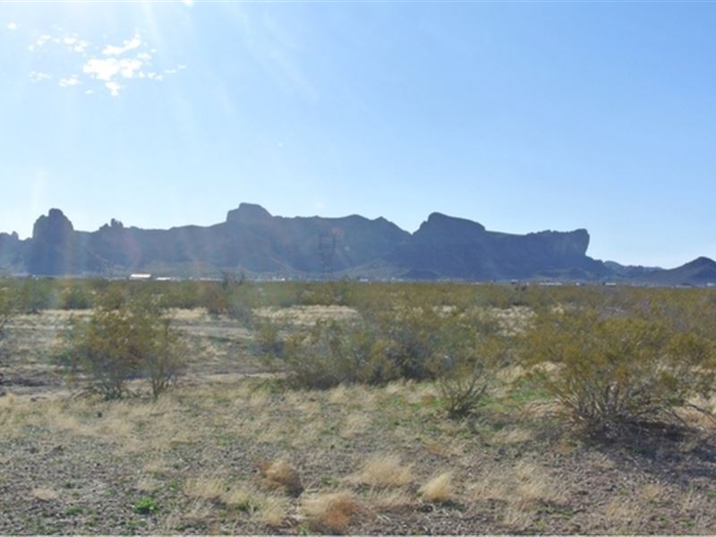 The Investment Oasis Awaits, $290 : Golden Valley : Mohave County : Arizona
