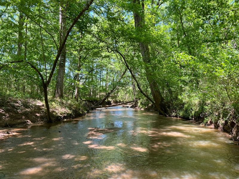 Little Shoulderbone Creek Tract : Sparta : Hancock County : Georgia