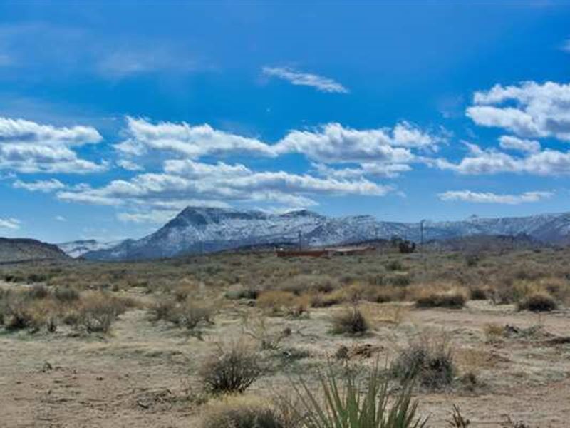 Create Memories in Kingman, AZ $259 : Kingman : Mohave County : Arizona