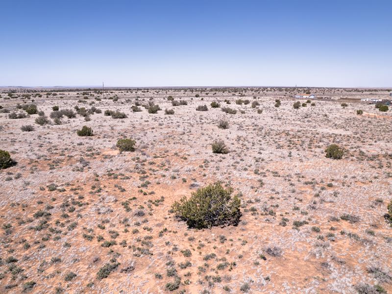 A Spacious 1.73 Acre in Williams : Williams : Coconino County : Arizona