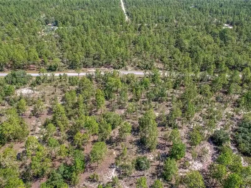 1.25 Acre for Sale in Dunnellon, FL : Dunnellon : Marion County : Florida