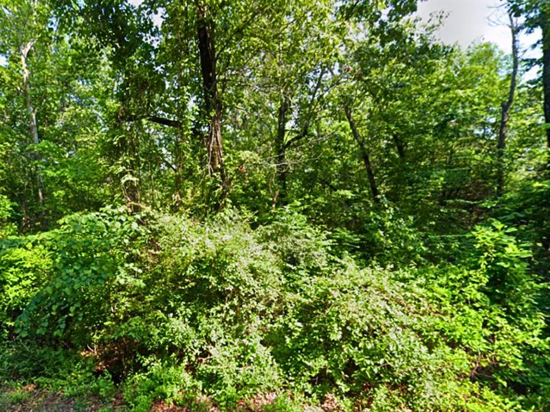 3 Lots for The Price of 1 : Horseshoe Bend : Izard County : Arkansas