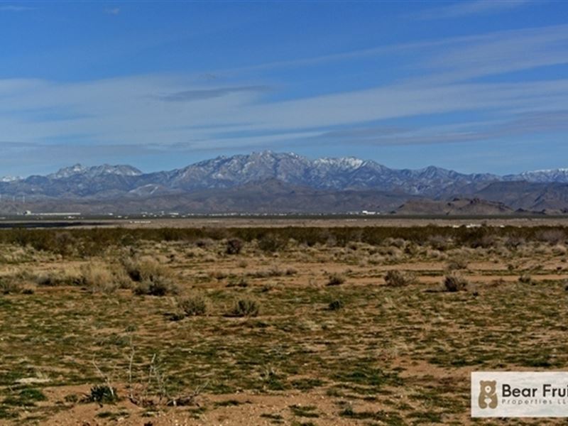 500' to Pavement, Amazing Deal : Golden Valley : Mohave County : Arizona