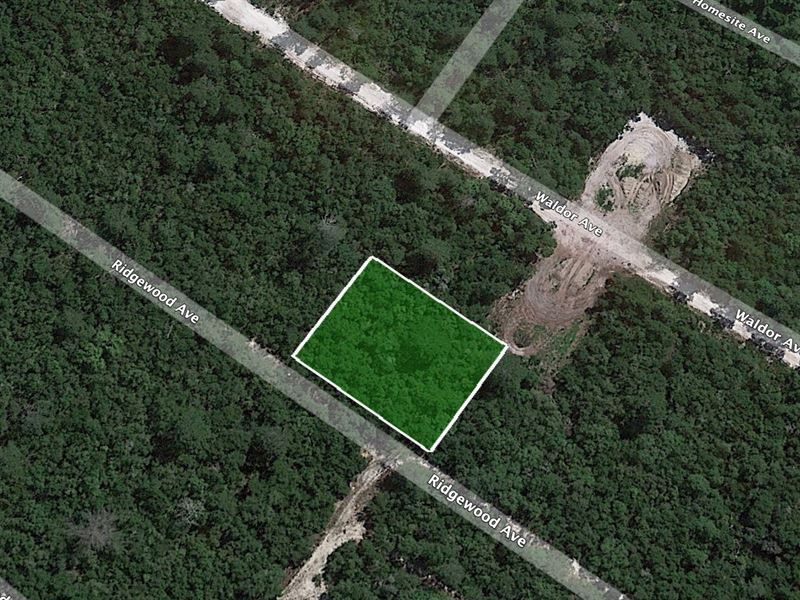 .29 Acre in Orange City, FL : Orange City : Volusia County : Florida