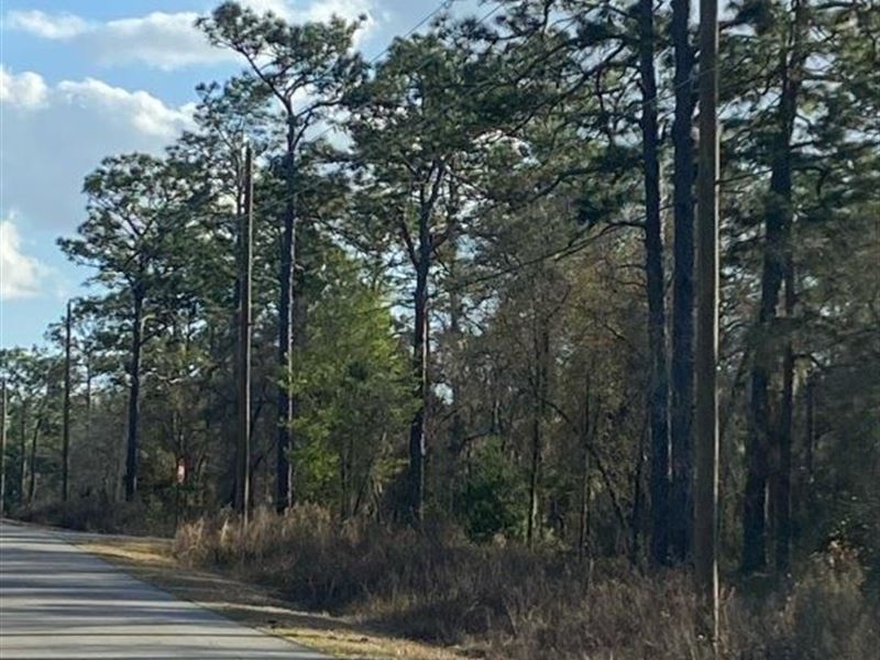 Looking for The Perfect Place : Dunnellon : Marion County : Florida