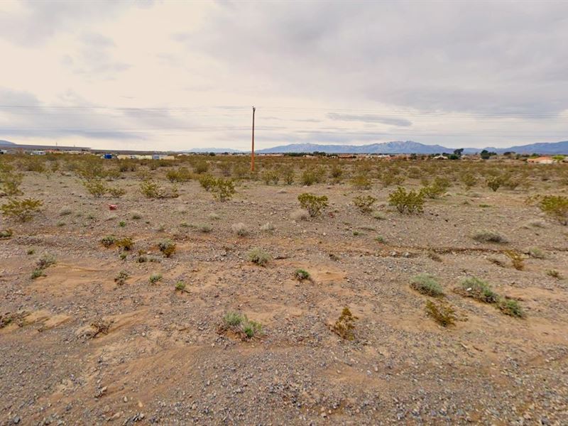 A Beautiful Place You Can Call Home : Pahrump : Nye County : Nevada