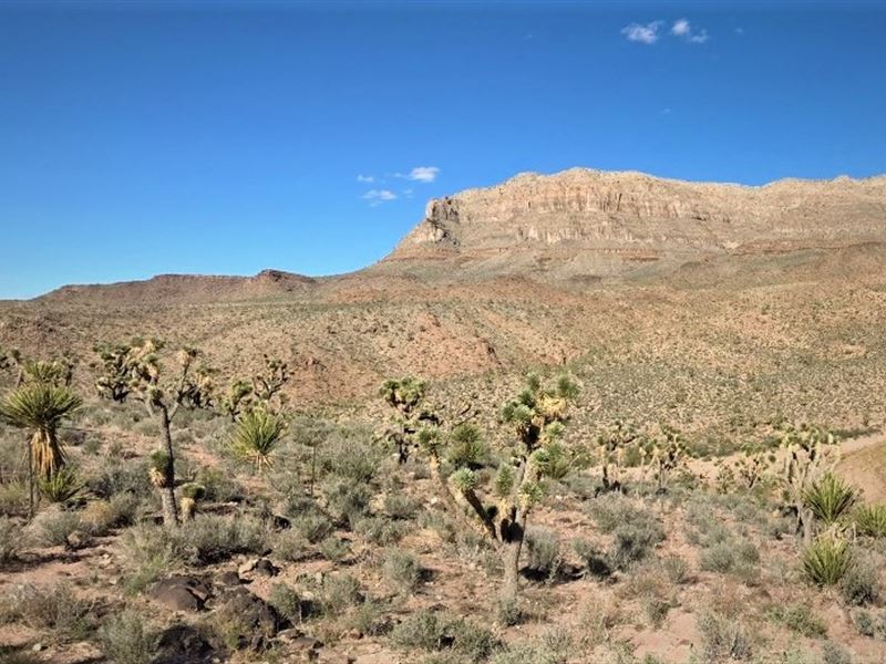 Scenic Mountain Near Grand Canyon : Meadview : Mohave County : Arizona