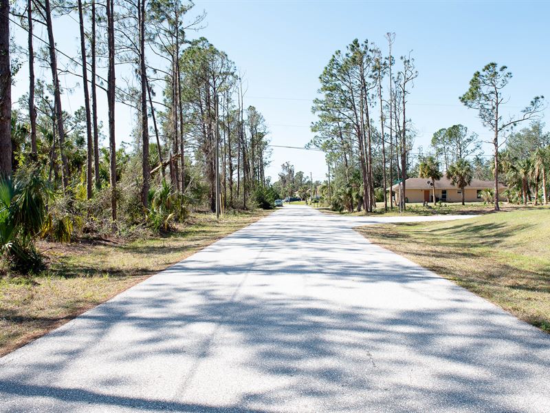 With Power, Paved Road & Rear Canal : North Port : Sarasota County : Florida